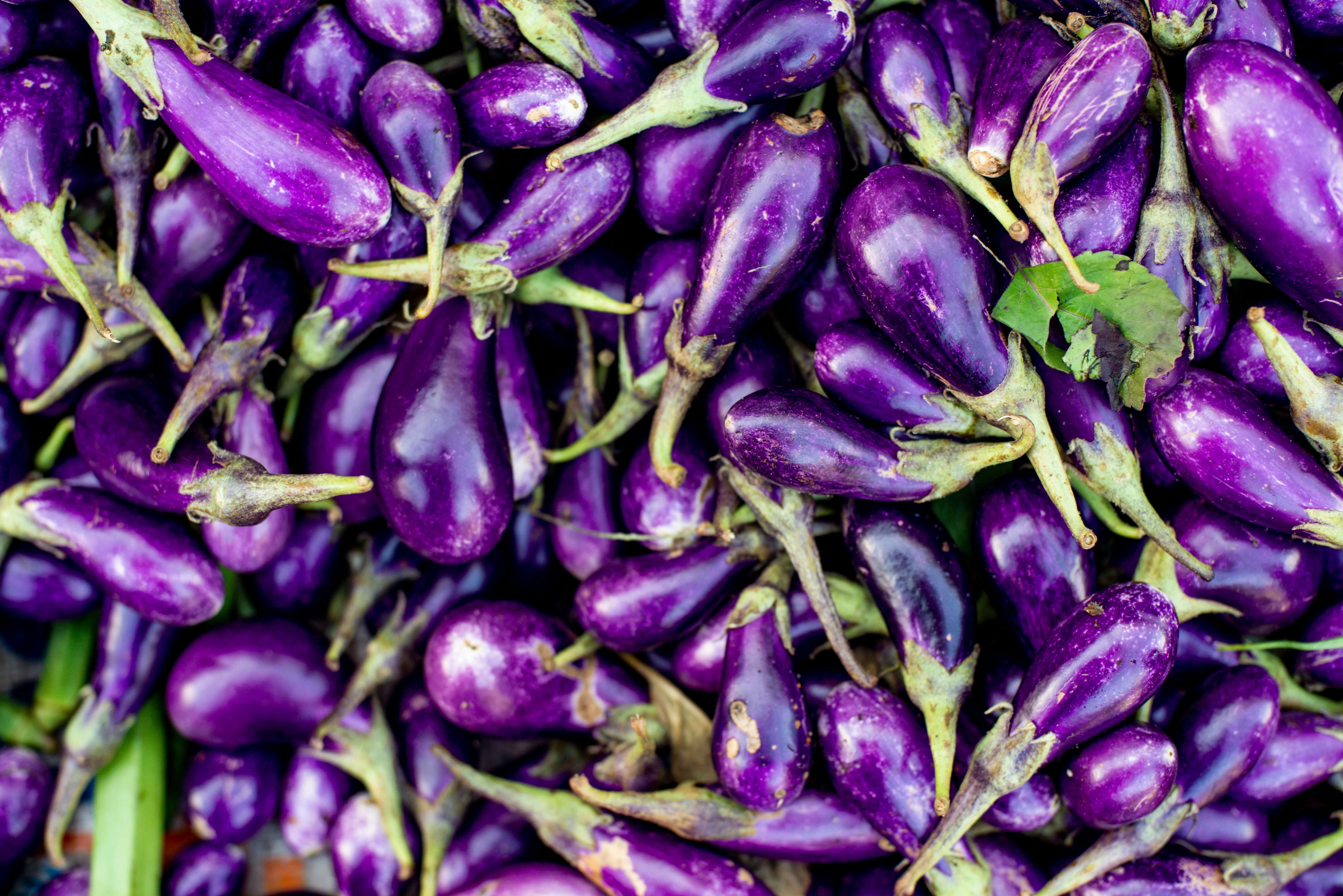 Purple Eggplant